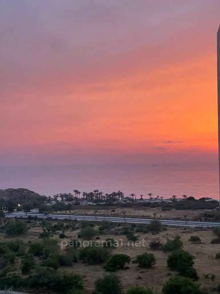 מרפסת על הים, בבניין חדש
